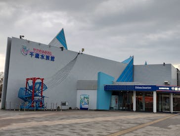 サケのふるさと 千歳水族館に投稿された画像（2024/11/3）