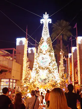 ひらかたパークに投稿された画像（2024/11/3）