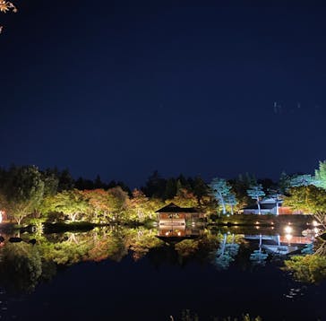 国営昭和記念公園 秋の夜散歩に投稿された画像（2024/11/3）