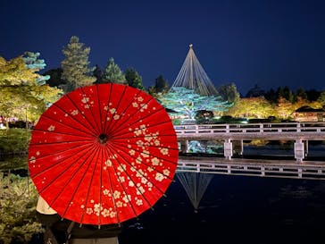 国営昭和記念公園 秋の夜散歩に投稿された画像（2024/11/3）