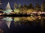 国営昭和記念公園 秋の夜散歩に投稿された画像（2024/11/3）