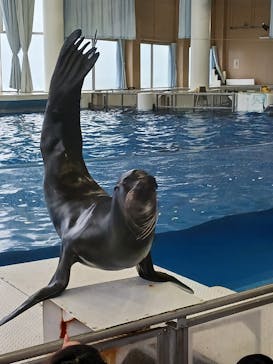 アクアワールド茨城県大洗水族館に投稿された画像（2024/11/3）