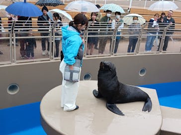 アクアワールド茨城県大洗水族館に投稿された画像（2024/11/3）
