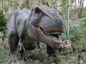 みろくの里に投稿された画像（2024/11/3）