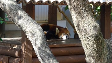 姫路セントラルパークに投稿された画像（2024/11/3）