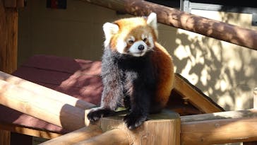 姫路セントラルパークに投稿された画像（2024/11/3）