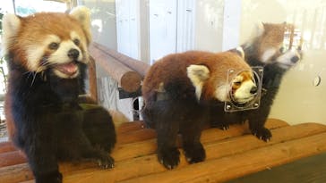 姫路セントラルパークに投稿された画像（2024/11/3）