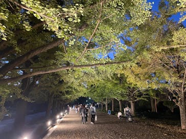国営昭和記念公園 秋の夜散歩に投稿された画像（2024/11/3）