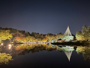 国営昭和記念公園 秋の夜散歩に投稿された画像（2024/11/3）