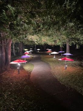 国営昭和記念公園 秋の夜散歩に投稿された画像（2024/11/3）