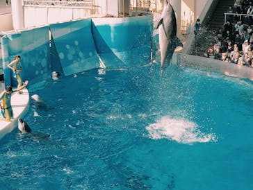 新江ノ島水族館に投稿された画像（2024/11/3）