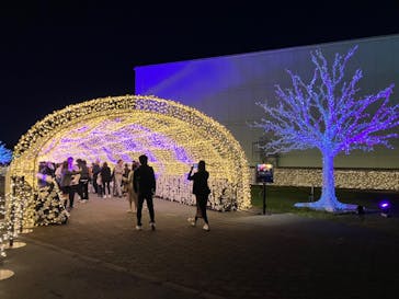 東京メガイルミに投稿された画像（2024/11/3）