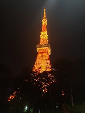 東京タワーに投稿された画像（2024/11/3）