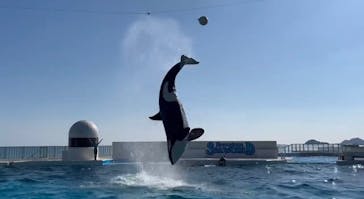 鴨川シーワールドに投稿された画像（2024/11/3）