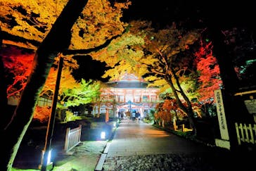 NAKED夜さんぽ™ 石川・那谷寺に投稿された画像（2024/11/3）
