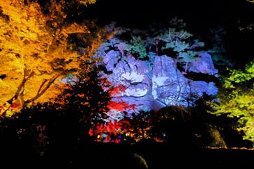 NAKED夜さんぽ™ 石川・那谷寺に投稿された画像（2024/11/3）