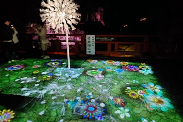 NAKED夜さんぽ™ 石川・那谷寺に投稿された画像（2024/11/3）