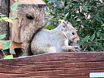 那須どうぶつ王国に投稿された画像（2024/11/3）