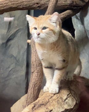 那須どうぶつ王国に投稿された画像（2024/11/3）