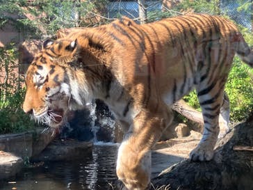 那須どうぶつ王国に投稿された画像（2024/11/3）