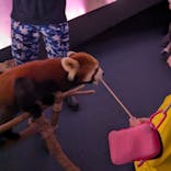 横浜・八景島シーパラダイスに投稿された画像（2024/11/3）