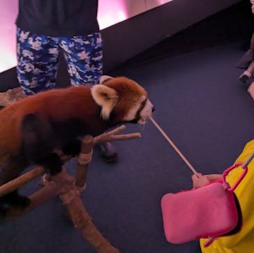 横浜・八景島シーパラダイスに投稿された画像（2024/11/3）