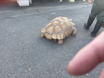 東武動物公園に投稿された画像（2024/11/3）