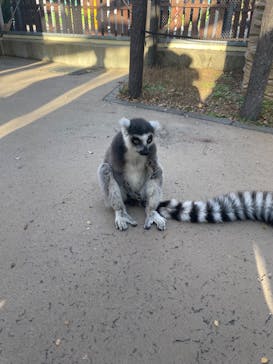 東武動物公園に投稿された画像（2024/11/3）