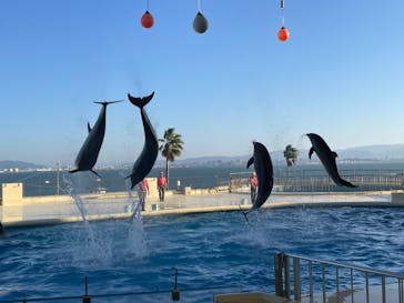 マリンワールド海の中道に投稿された画像（2024/11/3）