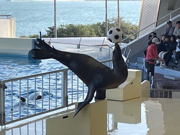 マリンワールド海の中道に投稿された画像（2024/11/3）