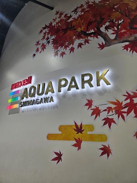 マクセル アクアパーク品川に投稿された画像（2024/11/3）