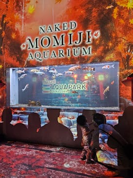 マクセル アクアパーク品川に投稿された画像（2024/11/3）