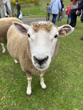 マザー牧場に投稿された画像（2024/11/3）