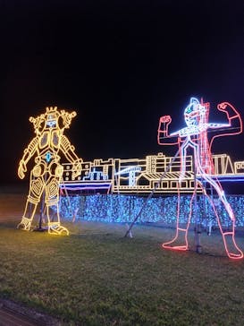 鹿児島イルミナージュに投稿された画像（2024/11/3）