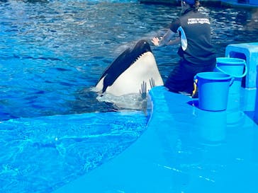 名古屋港水族館に投稿された画像（2024/11/3）