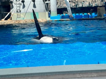 名古屋港水族館に投稿された画像（2024/11/3）