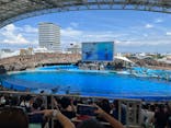 名古屋港水族館に投稿された画像（2024/11/4）