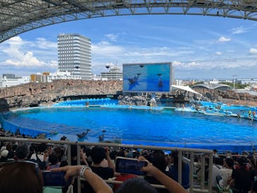 名古屋港水族館に投稿された画像（2024/11/3）