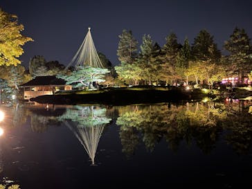 国営昭和記念公園 秋の夜散歩に投稿された画像（2024/11/3）