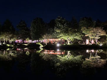 国営昭和記念公園 秋の夜散歩に投稿された画像（2024/11/3）