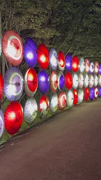 国営昭和記念公園 秋の夜散歩に投稿された画像（2024/11/3）