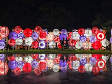 国営昭和記念公園 秋の夜散歩に投稿された画像（2024/11/3）
