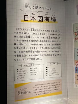 特別展「鳥 ～ゲノム解析が解き明かす新しい鳥類の系統～」国立科学博物館に投稿された画像（2024/11/3）