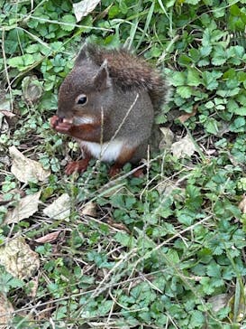 那須どうぶつ王国に投稿された画像（2024/11/3）
