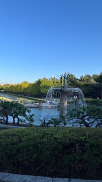 国営昭和記念公園 秋の夜散歩に投稿された画像（2024/11/3）