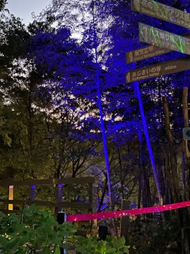 ニジゲンノモリに投稿された画像（2024/11/3）