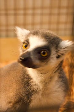 伊豆シャボテン動物公園に投稿された画像（2024/11/3）