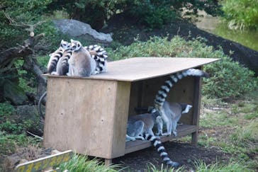 伊豆シャボテン動物公園に投稿された画像（2024/11/3）