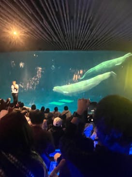 島根県立 しまね海洋館に投稿された画像（2024/11/3）