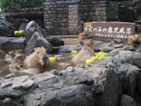 伊豆シャボテン動物公園に投稿された画像（2024/11/4）